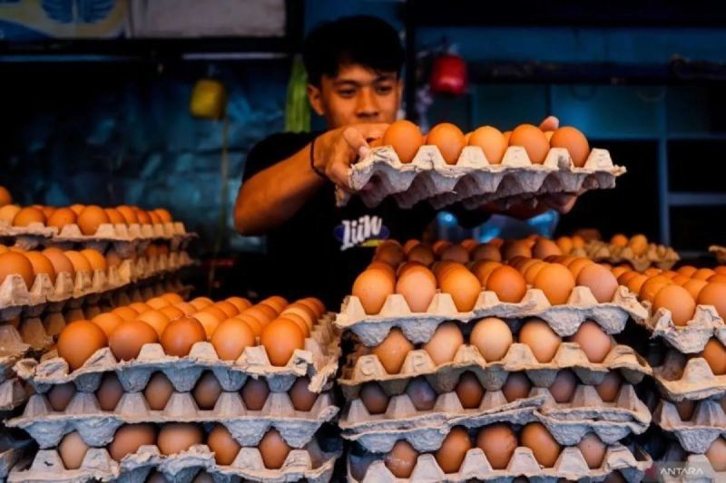 Pemkot Malang Awasi Stok Pangan Jelang Lebaran 2025: Antisipasi Lonjakan Harga