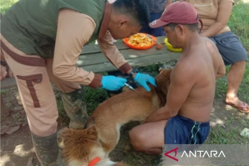 Waspada Rabies! Dinkes Kalbar Laporkan 5 Kematian di 2025, Vaksinasi Hewan Peliharaan Jadi Kunci