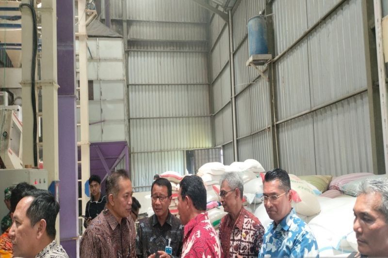 Koperasi Merah Putih Gapoktan Sidomulyo: Solusi Ekonomi Desa dan Swasembada Pangan?