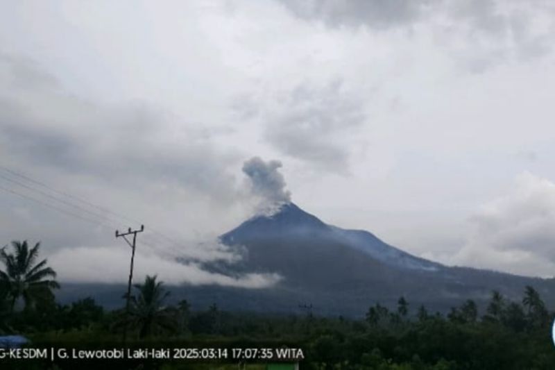 Gunung Lewotobi Laki-laki Erupsi Lagi! Warga Diminta Jauhi Radius 5 Km