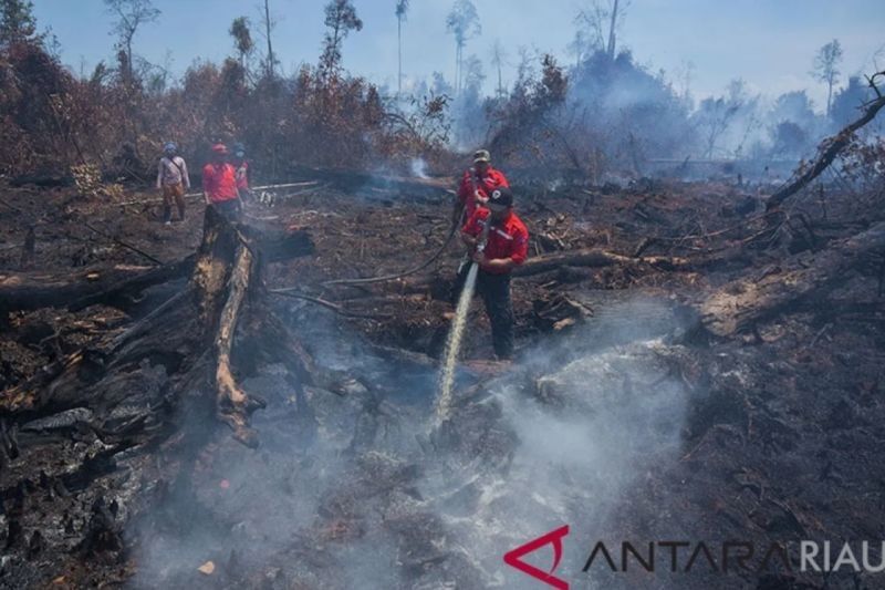 BMKG dan Kemenhut Siap Cegah Karhutla 2025: Modifikasi Cuaca Jadi Andalan