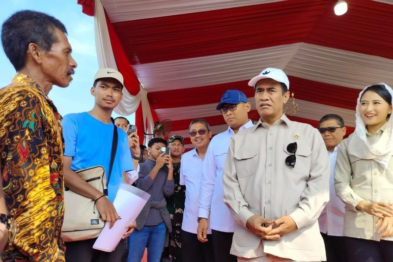 Mentan Pastikan Harga Gabah Petani Rp6.500 per Kg, Bulog Siap Serap 3 Juta Ton