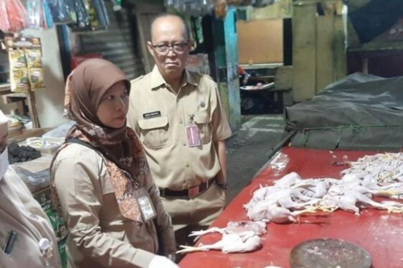 Pemkot Jakut Periksa Kualitas Ayam Potong di Pasar Tradisional: Semua Aman!