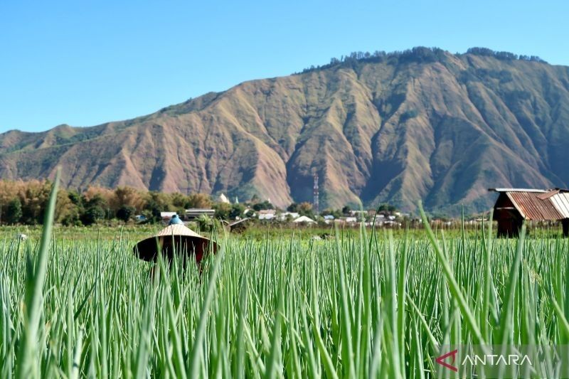 UNESCO Validasi Ulang Status Geopark Gunung Rinjani dan Tambora di NTB