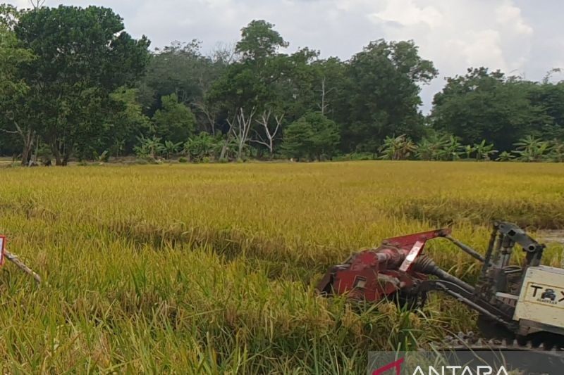 Sumsel Sukses Tingkatkan Luas Baku Sawah hingga 48.880 Hektare