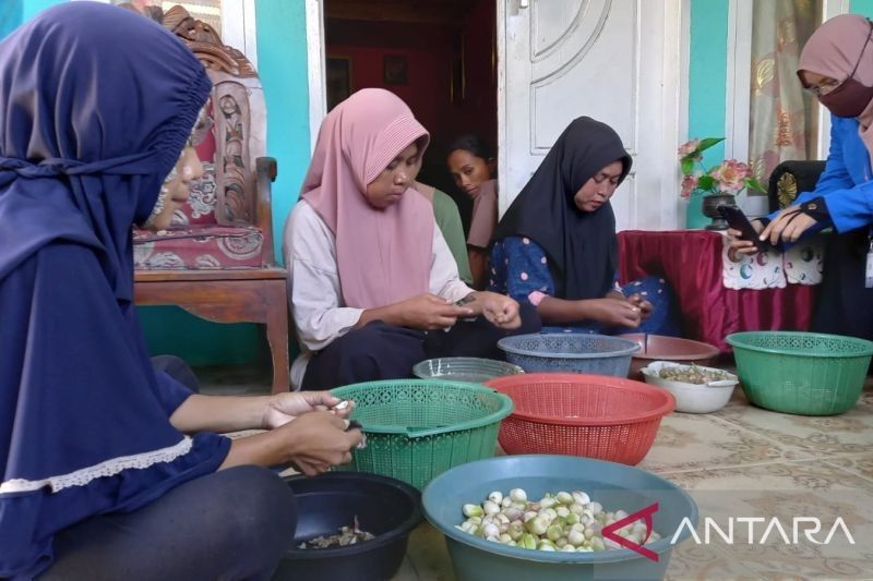 Mahasiswa PPG Donggala Berdayakan UMKM Bawang Goreng, Tingkatkan Pendapatan Warga