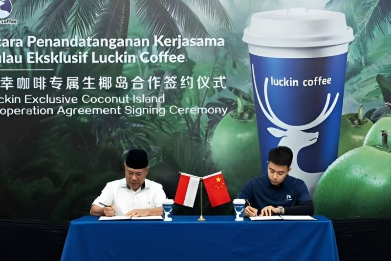 Pemda Banggai Kepulauan Jalin Kerja Sama Strategis dengan Luckin Coffee, Dorong Perekonomian Lokal