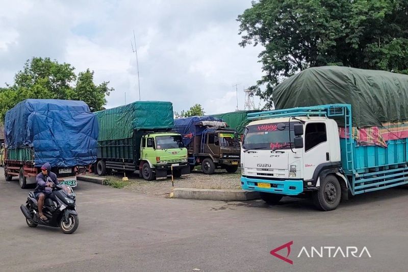 Volume Angkutan Barang di Pelabuhan Jangkar Situbondo Meningkat 20 Persen Jelang Larangan Mudik Lebaran 2025