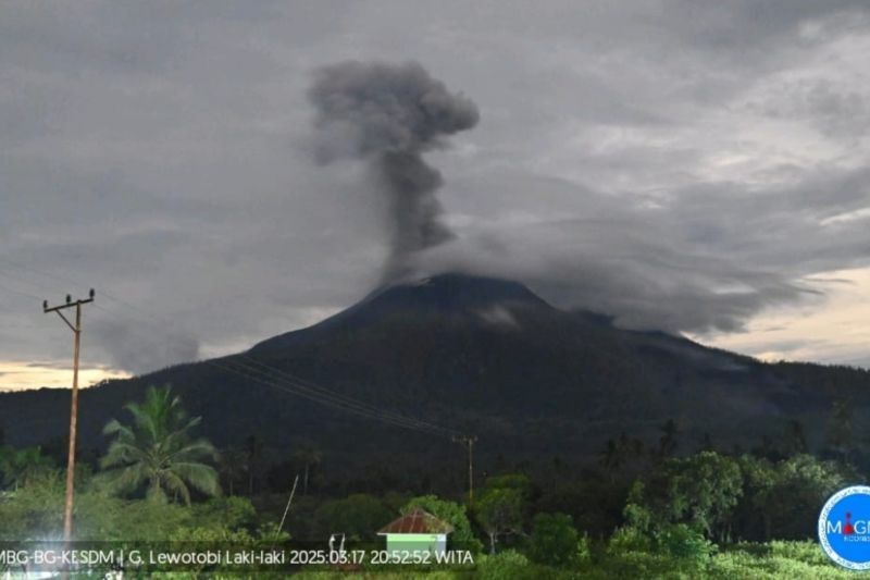 Gunung Lewotobi Laki-laki Erupsi, Semburkan Abu Vulkanik hingga 1.200 Meter