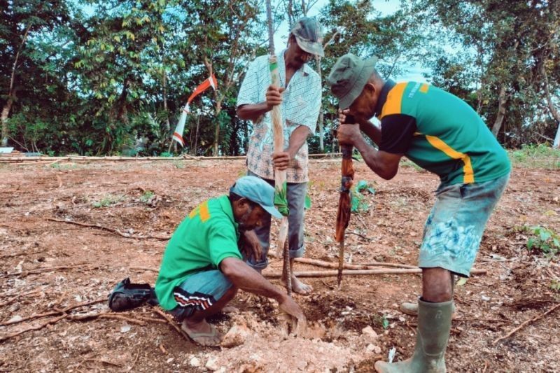 Satgas TMMD dan Warga Kbusdori Sukseskan Penyemprotan Hama, Tingkatkan Ketahanan Pangan