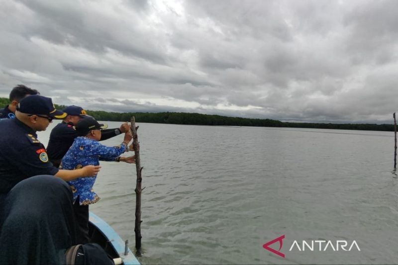 40 Patok Laut Ilegal Dibongkar di Bontang, Kaltim