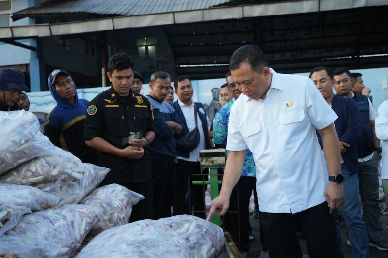 KKP Pastikan Stok Ikan Aman Jelang Lebaran 2025 di Tegal