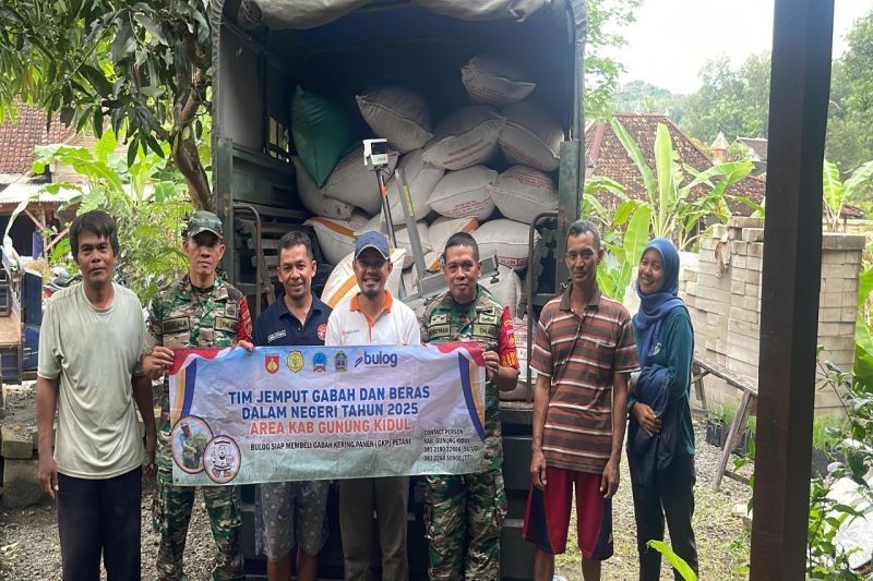 Pemkab Gunungkidul Jamin Harga Gabah Petani, Bulog Serap Ribuan Ton!