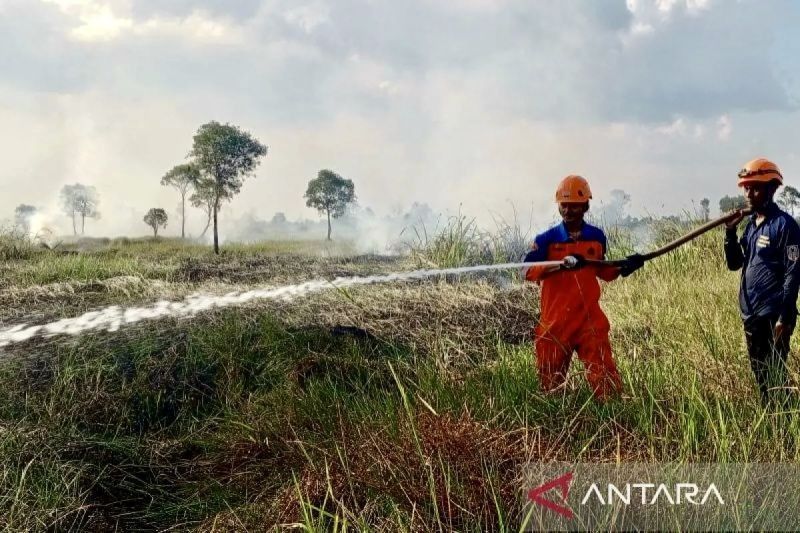 BPBD Kalsel Perkuat Strategi Antisipasi Karhutla 2025: Belajar dari Sukses 2024