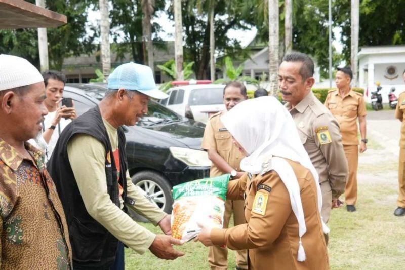 Pemkab Sinjai Tingkatkan Produktivitas Jagung, Bagikan Benih Hibrida Jafran