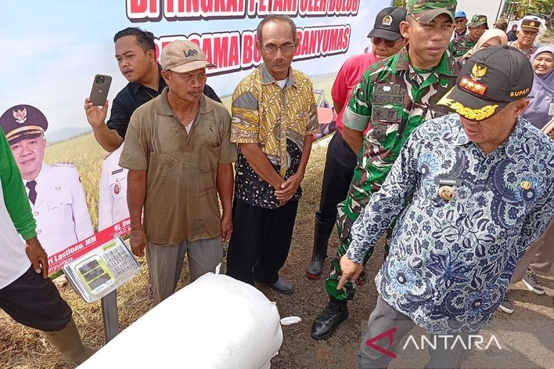 Bupati Banyumas Ajak Petani Jual Gabah ke Bulog, Harga Rp6.500/kg