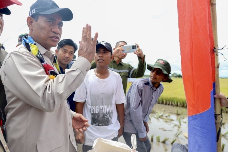 Kalsel Berpotensi Jadi Lumbung Pangan Nasional, Mentan Optimistis Panen Padi Tiga Kali Setahun