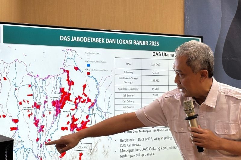 KLH: Tutupan Vegetasi DAS Bekasi Minim, Hanya 3,35 Persen!