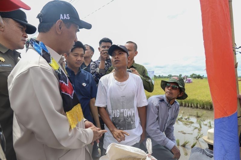 Kekecewaan Mentan Amran: Bulog Kalsel Dinilai Lamban Serap Gabah Petani