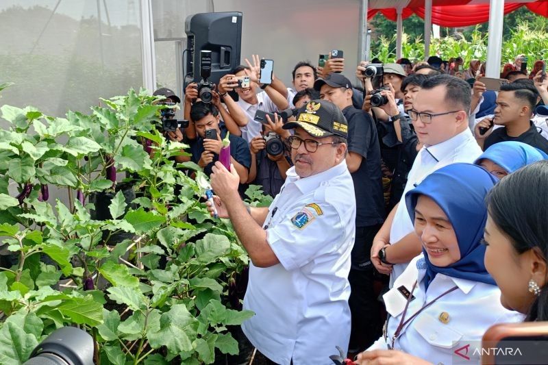 Pemprov DKI Jakarta Panen Raya 20 Ton Cabai hingga Ikan Jelang Lebaran