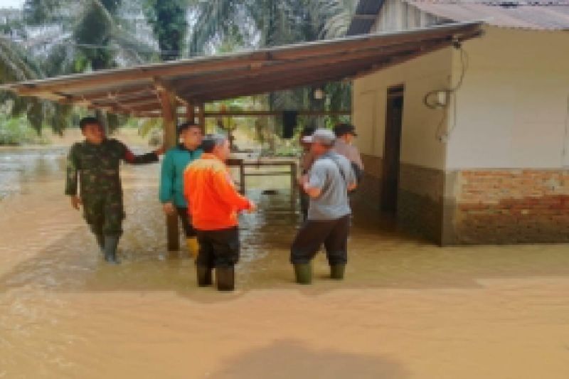 Banjir Padang Lawas: 303 Jiwa Terdampak, Jembatan Rusak