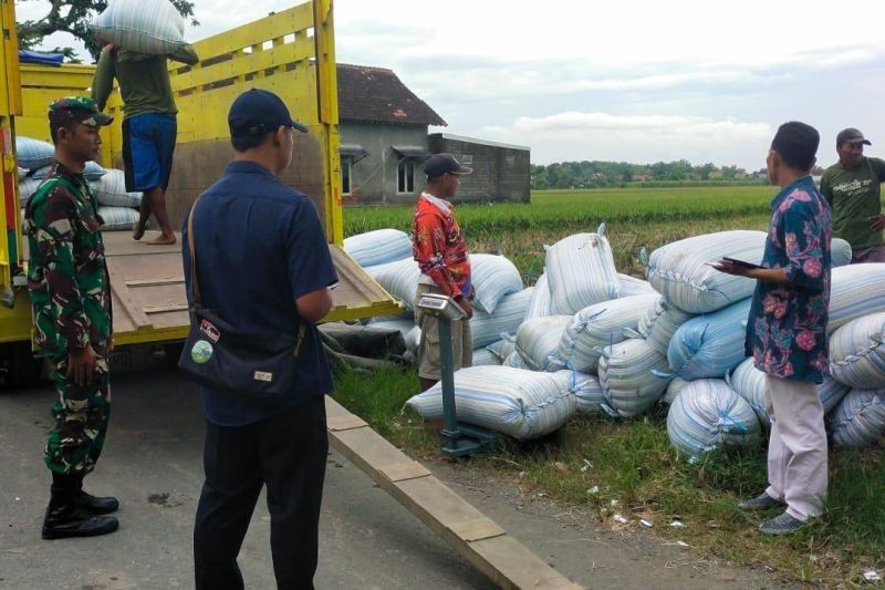 Bulog Kediri Bentuk Tim Khusus Jemput Gabah Petani, Antisipasi Puncak Panen Raya 2025