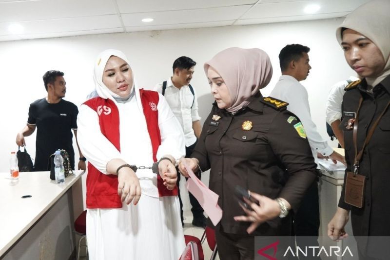 Mira Hayati, Terdakwa Kosmetik Berbahaya, Ajukan Tahanan Kota