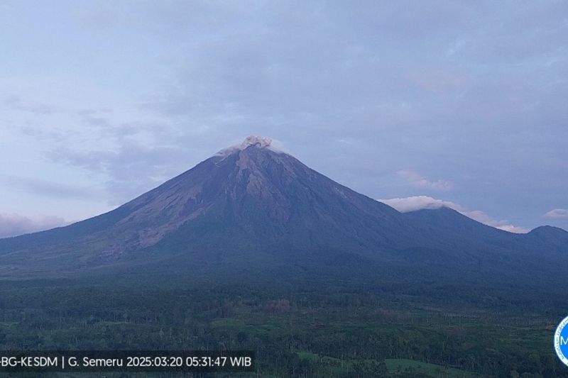 Gunung Semeru Kembali Erupsi: Aktivitas Gempa Letusan Masih Dominan