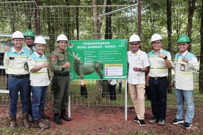 Pemprov Kaltim Pastikan Kelayakan Kandang Penangkaran Rusa Sambar di Kalsel