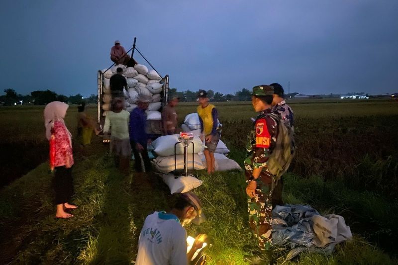 Bulog Kediri: Serap Gabah Terbanyak di Jatim, Antisipasi Puncak Panen Raya