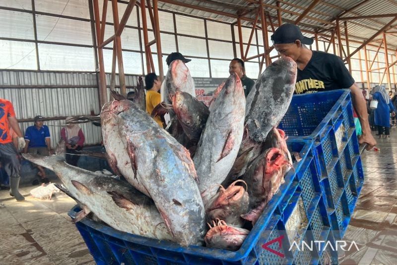 KKP Dorong Penangkapan Ikan Terukur untuk Tembus Pasar Internasional