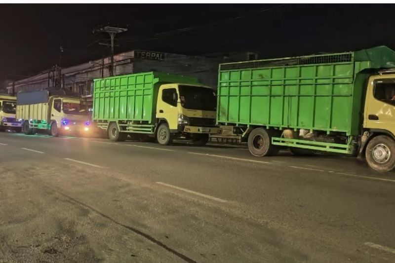 Dishub Jambi Atur Jadwal Keluarnya Batu Bara Jelang Lebaran: Antisipasi Kemacetan Arus Mudik