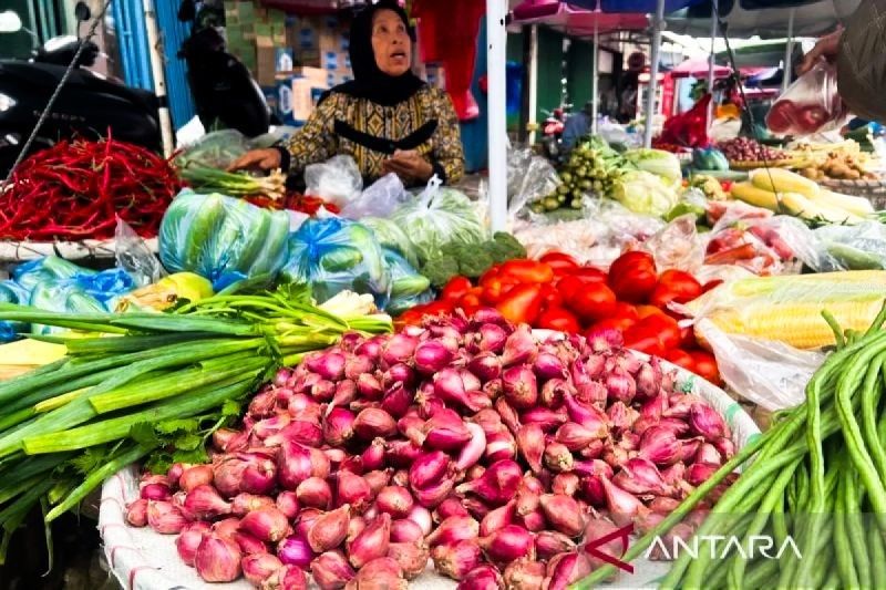 Pasokan Aman, Harga Bawang Merah di Pasar Induk Kramat Jati Mulai Normal