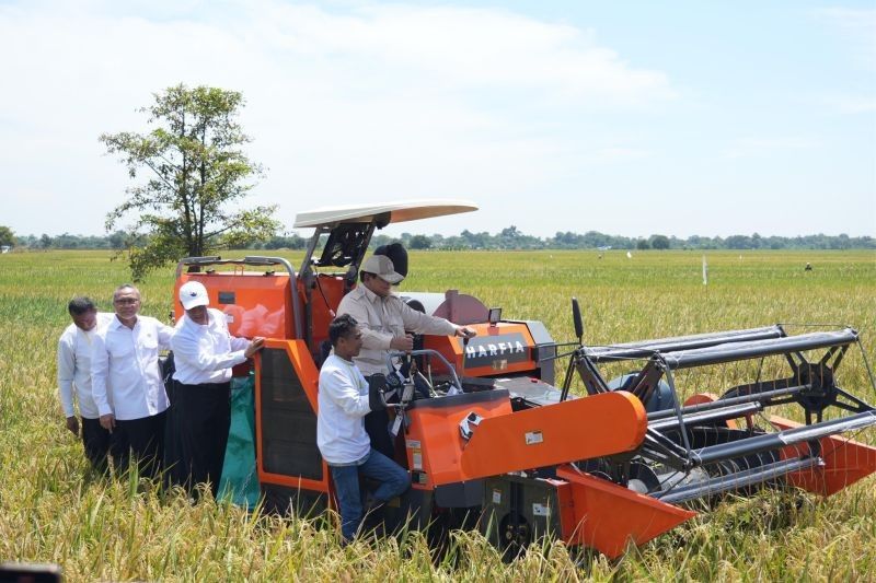 Panen Raya Serentak: Bukti Indonesia Menuju Swasembada Beras
