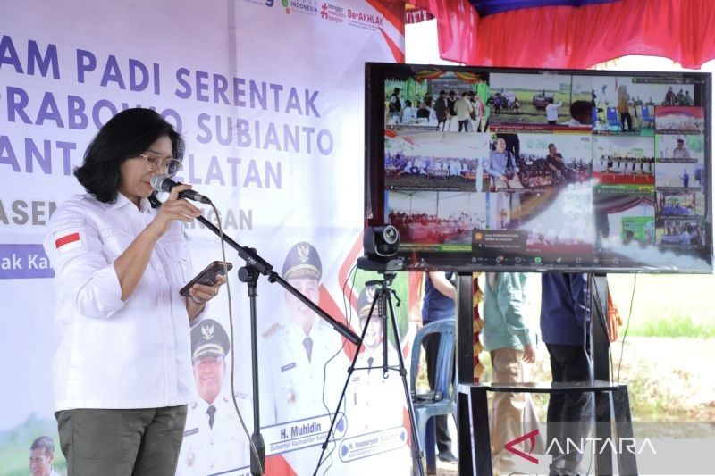Kementan Perbaiki Irigasi Kalsel, Bidik Panen Padi Tiga Kali Setahun