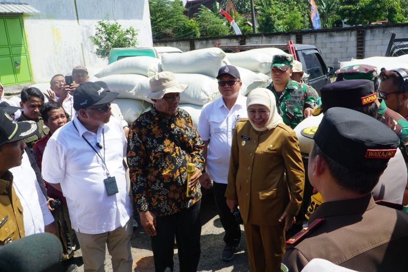 Bulog Pastikan Serapan Gabah Petani Optimal: Harga Beli Sesuai HPP