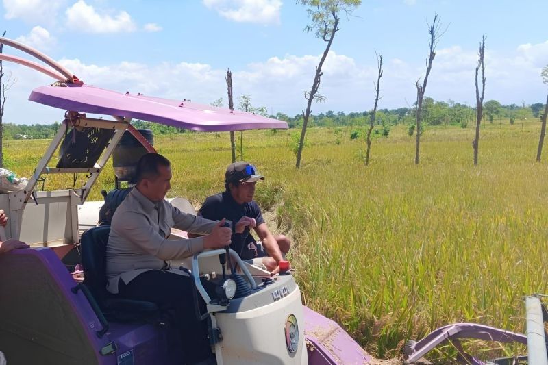 Bulog NTB Serap Gabah Rp728 Juta, Dorong Petani Terapkan Sistem Non-Tunai