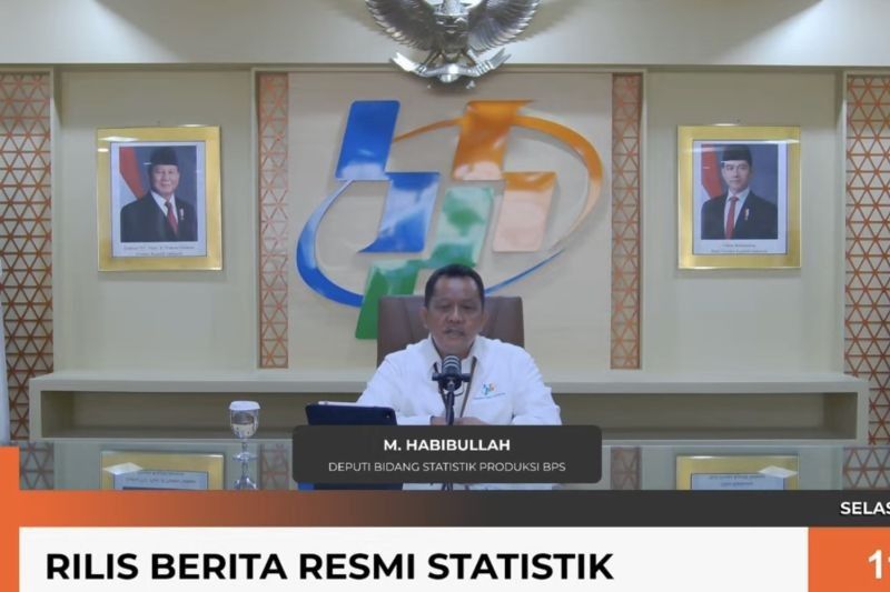 Produksi Jagung Indonesia Melonjak Tajam: Luas Panen Naik 114 Persen!