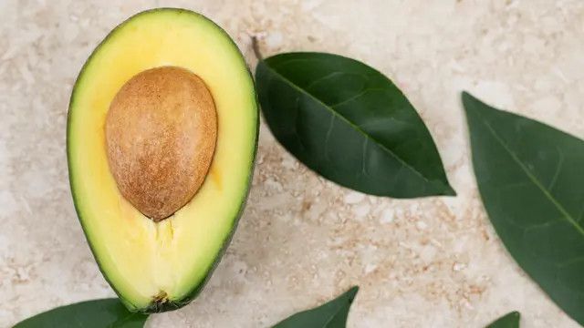 Resep Seduhan Daun Alpukat, Bisa Turunkan Kolesterol dan Darah Tinggi?