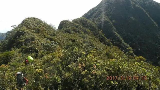 6 Fakta Menarik Gunung Kurik, Surga Tersembunyi Bagi Para Pendaki di Aceh Timur