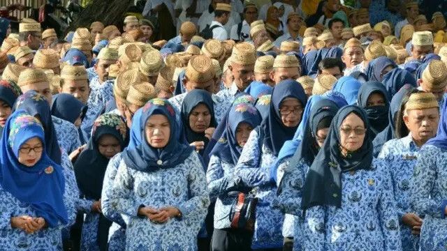 NIP CPNS dan PPPK 2024 Sudah Terbit, Begini Cara Mengeceknya di Mola BKN