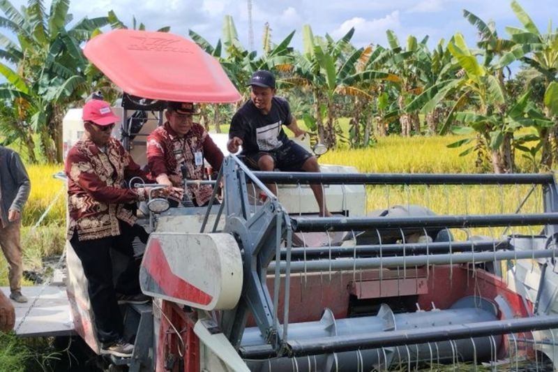 Gapoktan Tabalong Siap Suplai Beras untuk Program Bela Tani