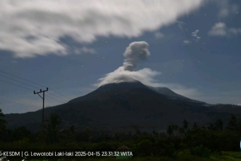 Gunung Lewotobi Laki-laki di Flores Timur Erupsi, Semburkan Abu Vulkanik hingga 2.484 Meter