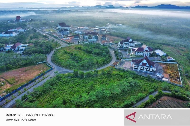 Dishut Kalsel Kembangkan Eucalyptus untuk Perkuat Ekosistem Hijau di Forest City