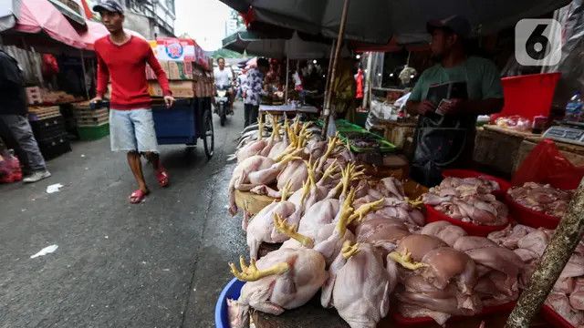 Harga Terbaru Ayam Per Kilogram di Jakarta April 2025