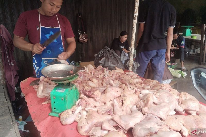 Harga Ayam Potong di Palembang Anjlok, Tembus Rp18.000 per Kilogram!