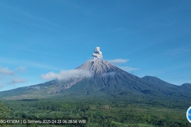Semeru Erupsi! Letusan 900 Meter di Atas Puncak, Warga Diminta Waspada