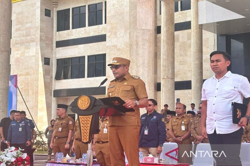 Kotabaru Resmi Terima 1.102 CPNS dan PPPK Formasi 2024: Siap Berkontribusi untuk Pembangunan Daerah