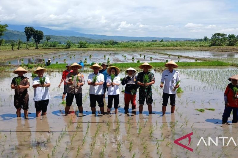 Pemkot Kediri Permudah Akses Petani, Dukung Ketahanan Pangan Nasional