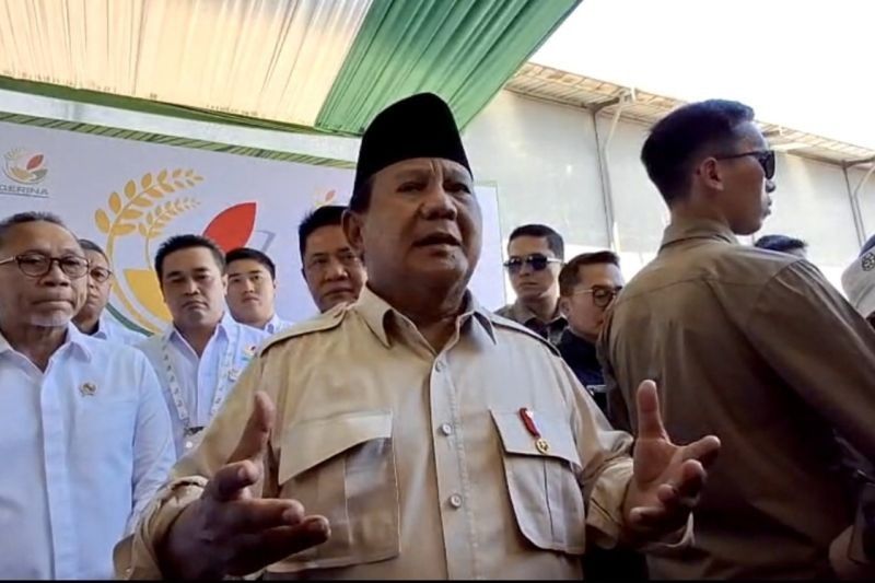 Potensi Lahan Sawah Sumsel Capai 1 Juta Hektare, Presiden Prabowo Dorong Peningkatan Produksi Padi